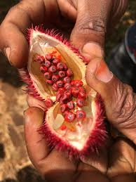 Zanzibar: Öğlen Yemeği Stone Town & Spice Farm Turu